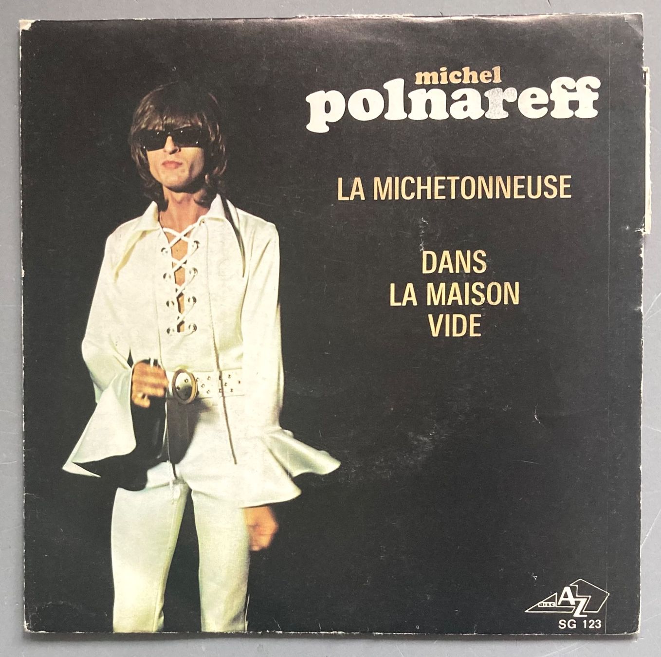 Dischi in vinile: MICHEL POLNAREFF - LA MICHETONNEUSE / DANS LA MAISON VIDE – Usato da Poliez-Pittet venduto da Newtown-Records