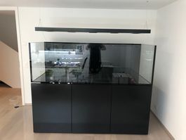 Top Design Meerwasseraquarium von SEA PLANET