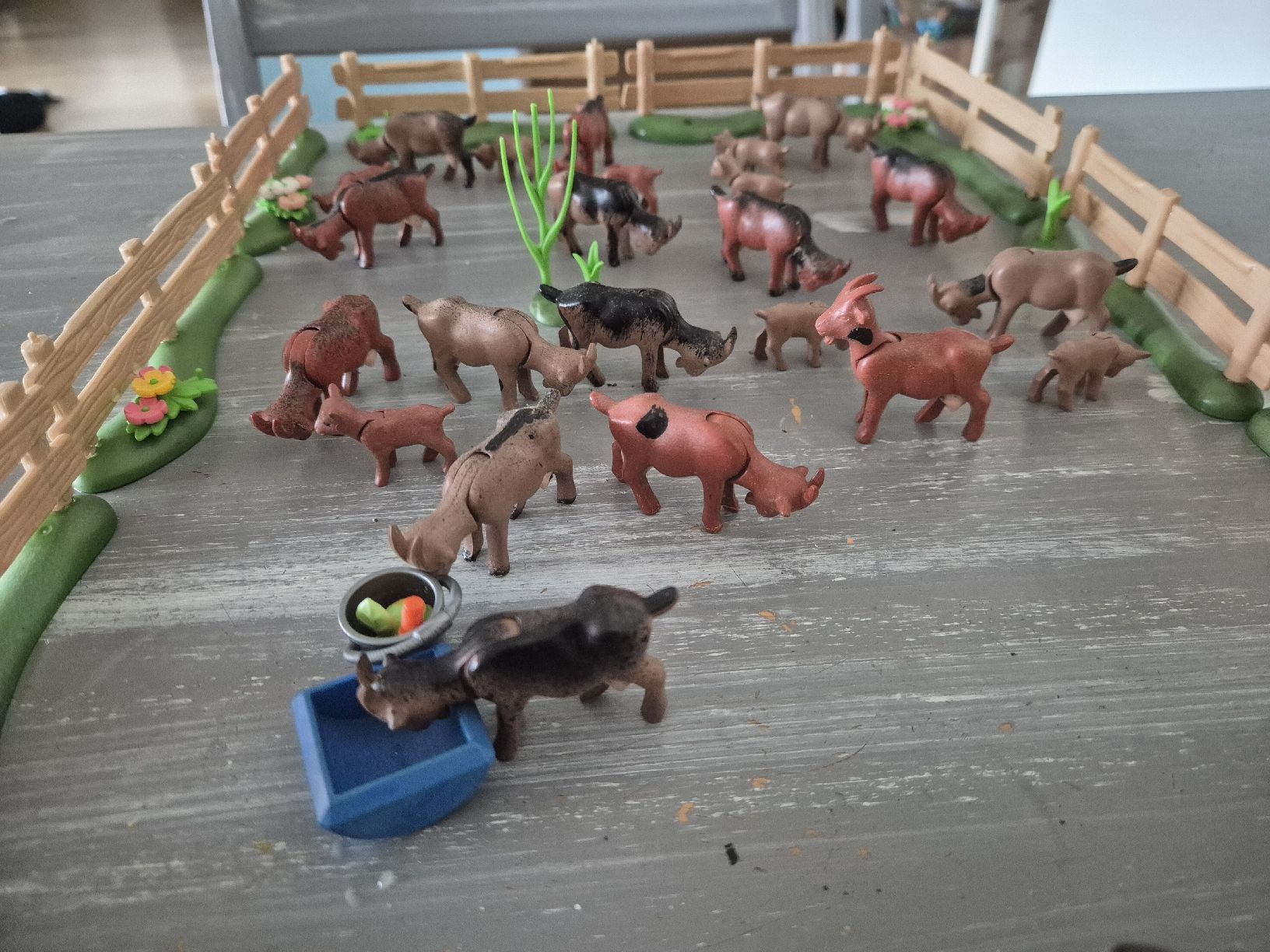 Playmobil Giocattoli: Ziegen mit Weide und Jungtiere – Usato da Fahrweid venduto da Fischwasser6 3