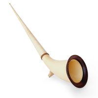 Alphorn Rieger Solist Fichte Tonart Fis/Ges KOMPLETTSET