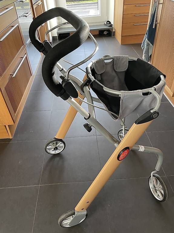 Ausili per la deambulazione: Rollator – Usato da chamby venduto da annelisev 1