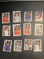 Alle 12 verschiedenen Panini Cola Sticker WC 2026