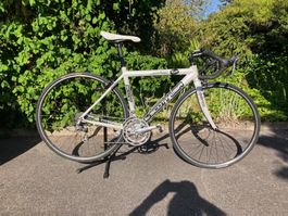 Scott AFD Rennrad weiss