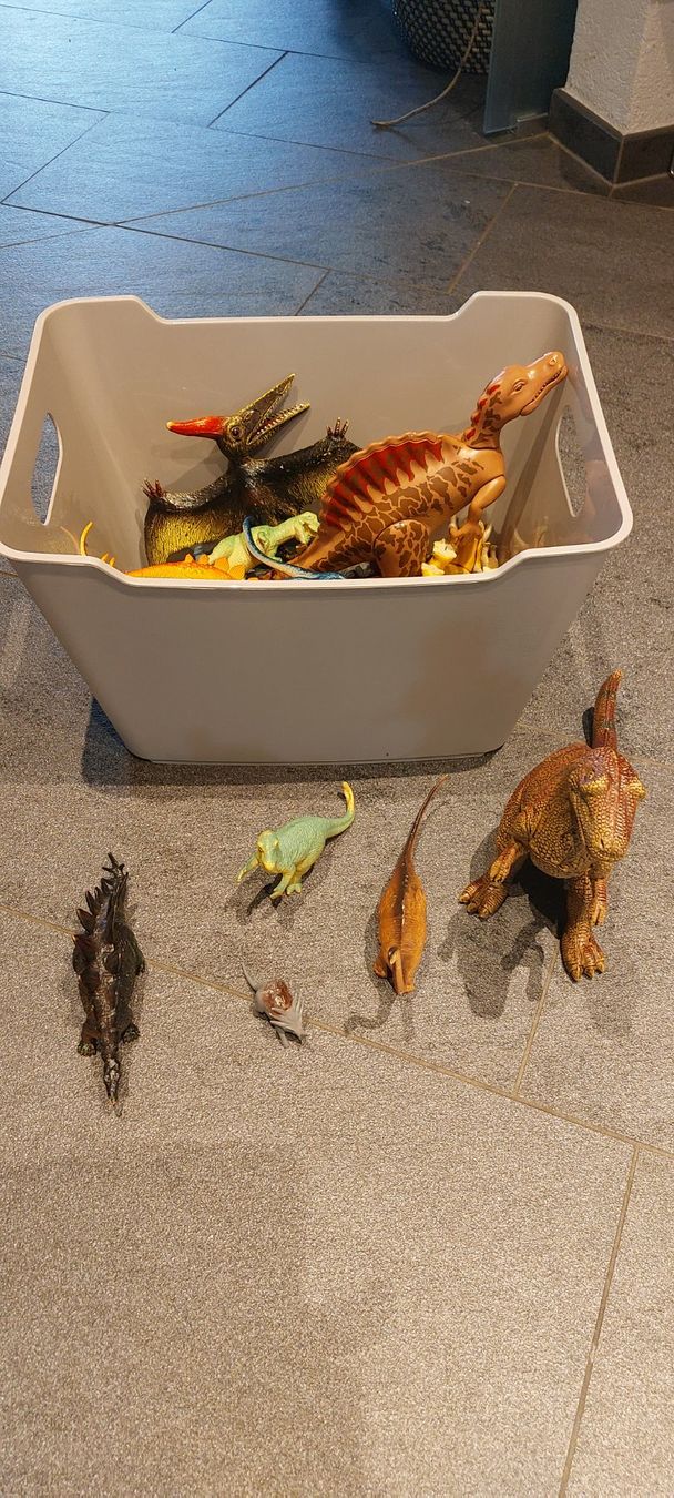Spielzeuge: Dinosaurier – Gebraucht aus Effingen von TaKaeser