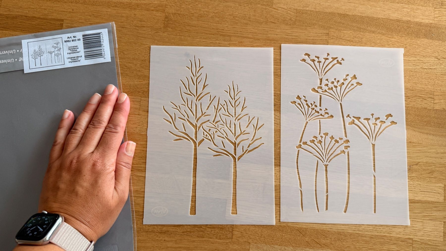 Sciablone: Basteln - Schablone Herbst Impressionen - A5 VIVA DECOR – Usato da Winterthur venduto da Secondhand-Family 6