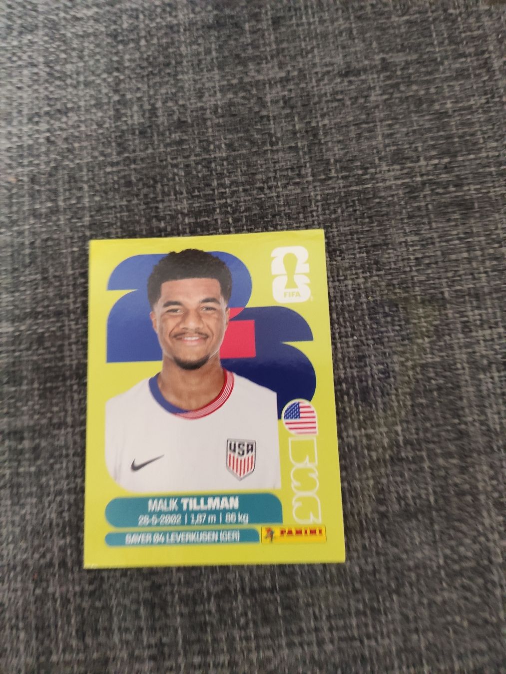 Panini Cartes à collectionner: panini USA 15  – D'occasion à Ettenhausen TG par danielhoop