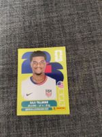 panini USA 15 