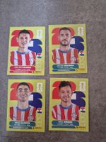 4 Paninibildli Paraguay