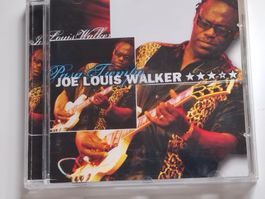 HDCD Joe Louis Walker, Pasa Tiempo