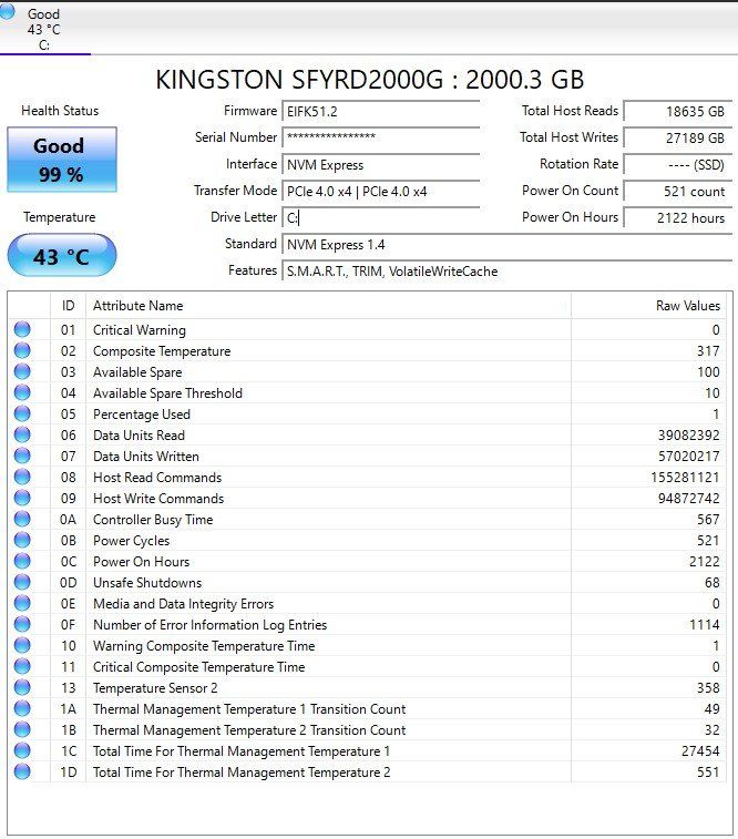 Kingston Dischi rigidi: KINGSTON SFYRD2000G nvme SSD 2TB – Usato da Bern venduto da smspending418 1