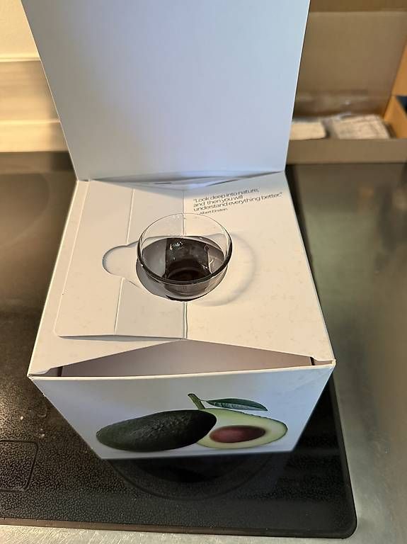 Vase & Récipients: Avocado Vase – D'occasion à muttenz par Ricardania 3
