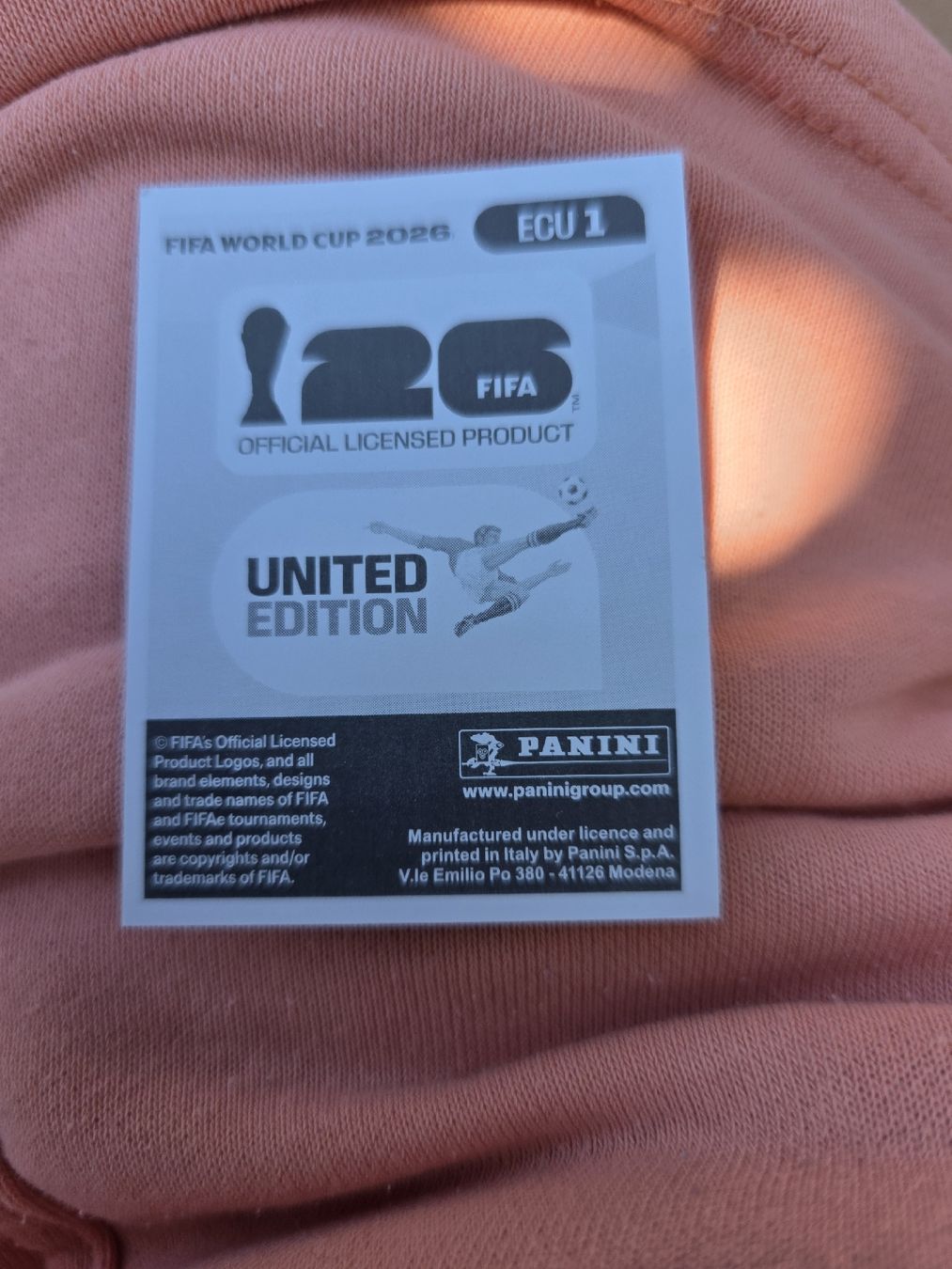 Panini Carte collezionabili: Panini WM 2026 ECU 1 Wappen – Nuovo (secondo la descrizione) da Romanshorn venduto da leeh78 1