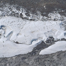 Profile image of glacierflea