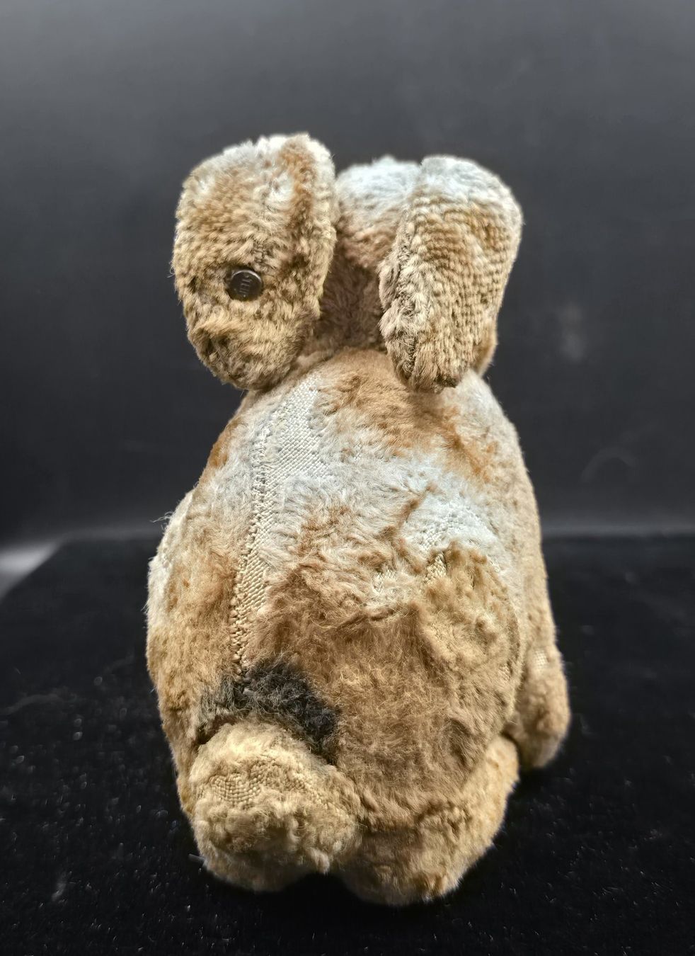 Steiff Giocattoli: Steiff Ballhase – Usato da Rorschacherberg venduto da snOOpydOg11 1
