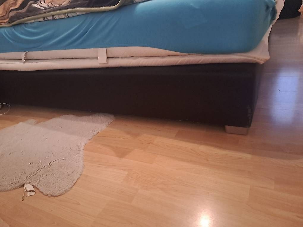 Letti: Boxspringbett  – Usato da Bazenheid venduto da ste_8ycz 1