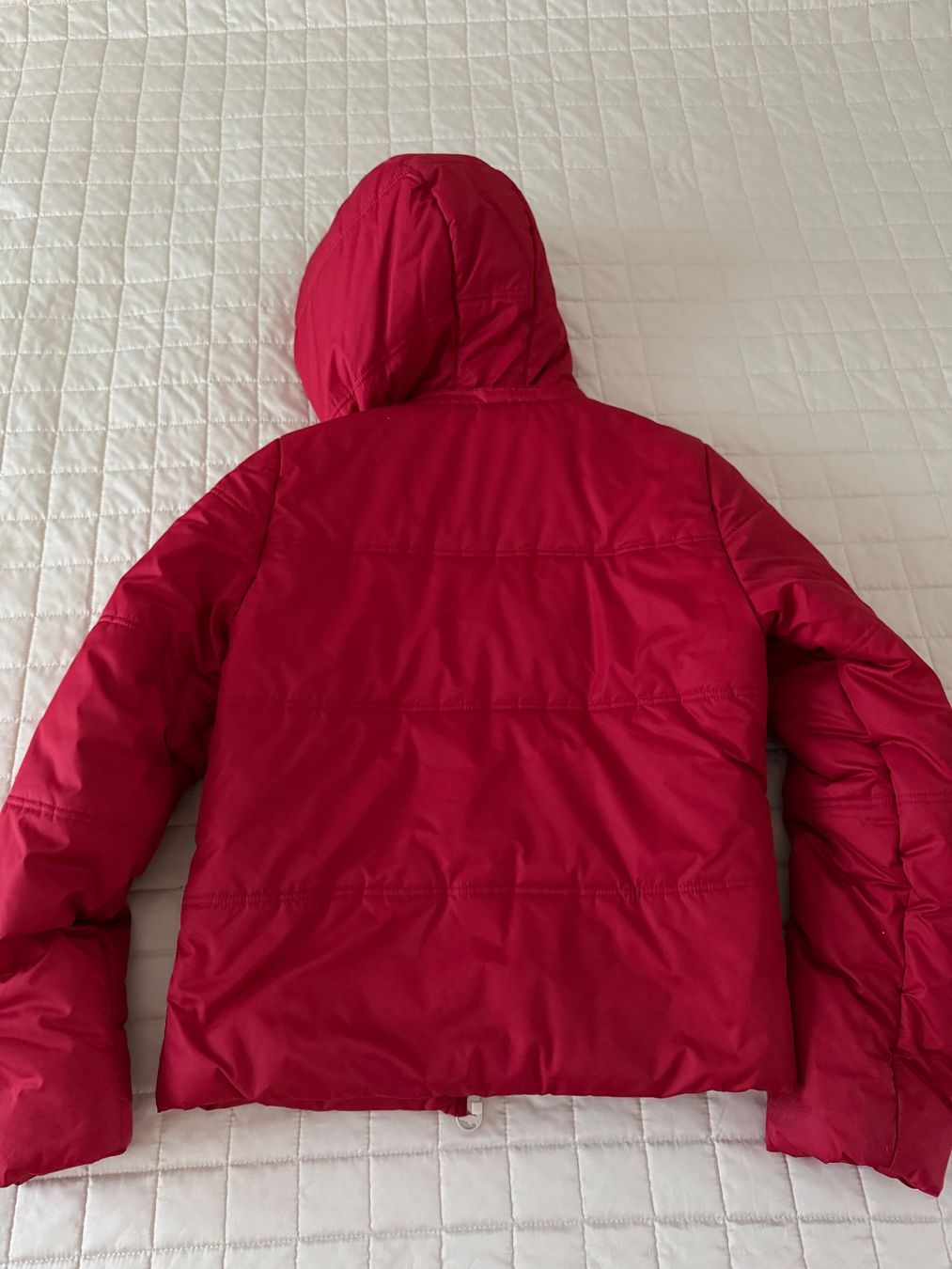 Lacoste Giacche: Lacoste Winterjacke Damen – Usato da Wädenswil venduto da Alice_style 1