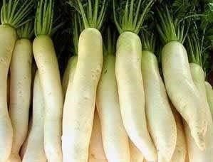 Piante & sementi: Radis géant DAIKON ! +100g – Nuovo (secondo la descrizione) da Bremblens venduto da FIBONACCI369