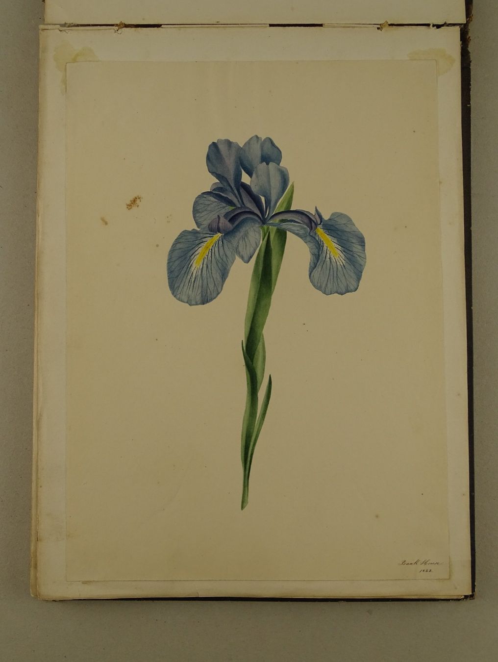Libri: ALBUM MIT EINGEKLEBTEN BLUMENLITHOGRAPHIEN, BIEDERMEIER – Usato da Grüningen venduto da Kartensammler 5