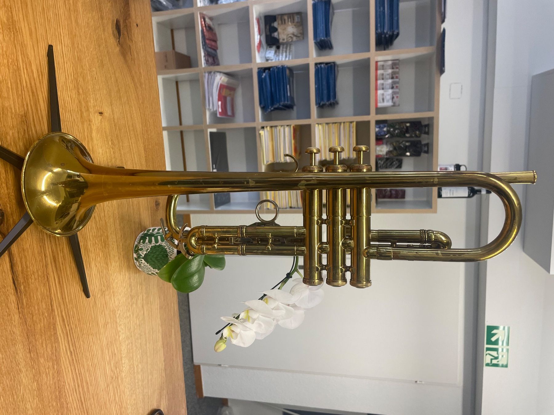 Strumenti musicali: Bb-Trompete Olds "Mendez" – Usato da Bern venduto da Daretobereal 1