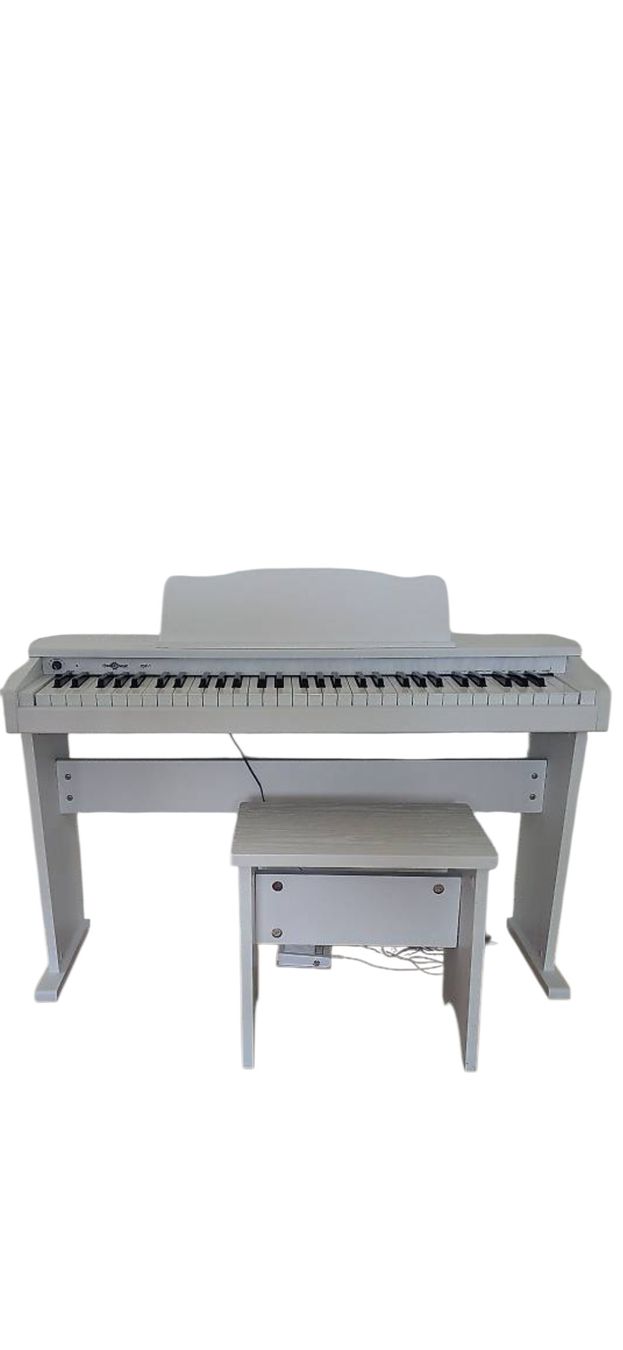 Strumenti musicali: JDP Kinder Piano – Usato da Meilen venduto da pfister.a