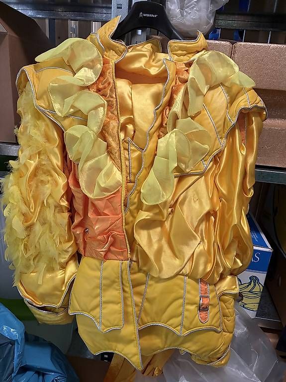Kostüme: Fasnachts Kleid – Gebraucht aus Inwil von kel_df7w