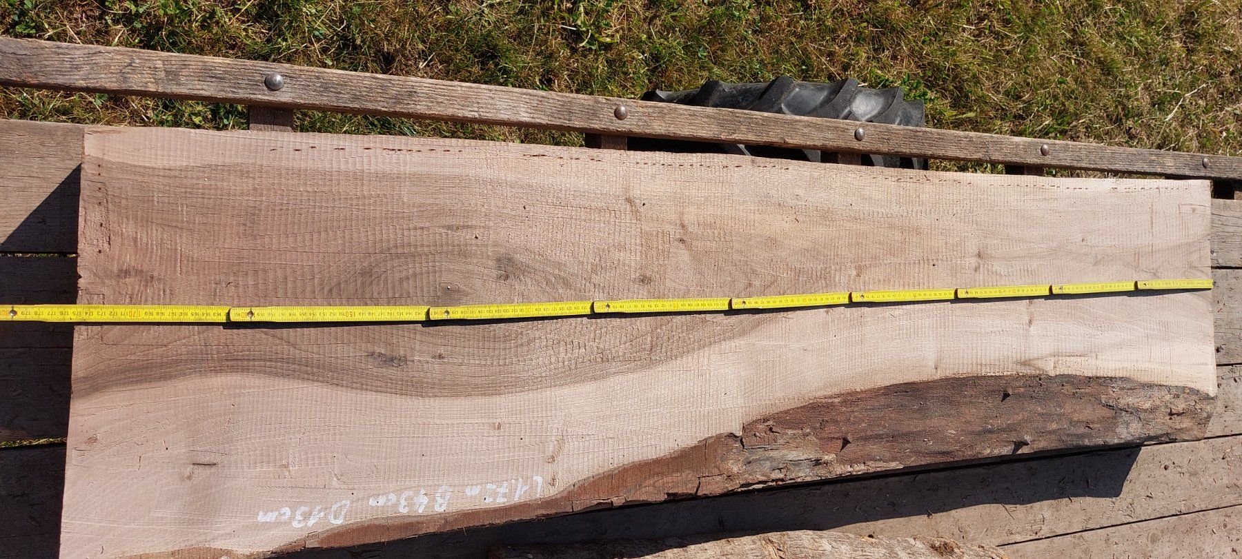 Articoli in legno: Schweizer Nussbaumholz – Difettoso da Giswil venduto da Stocki02