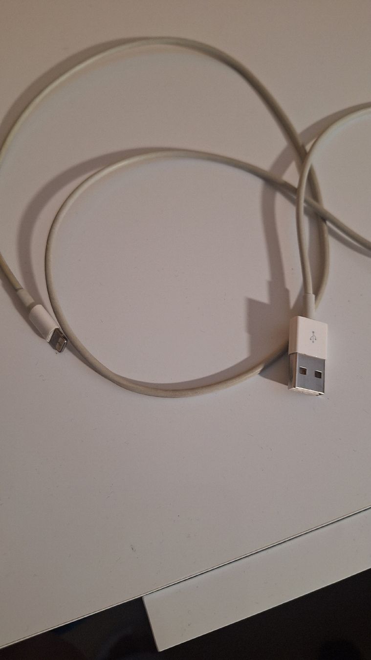 Apple Câbles: Lightning-Ladekabel – D'occasion à Dintikon par lec_89sx 1