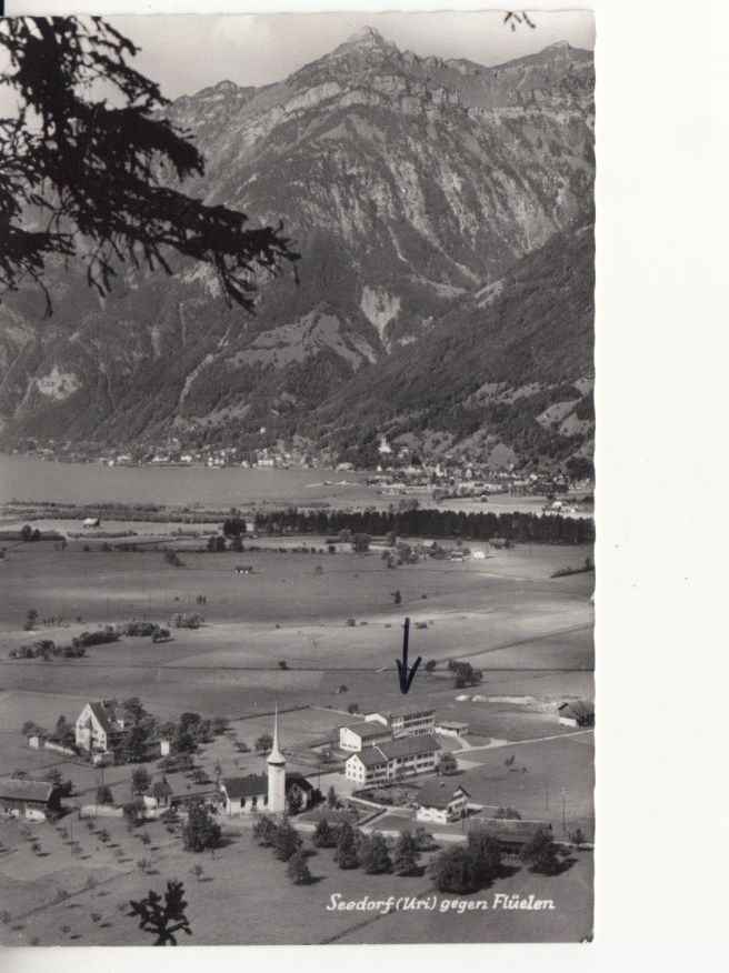 Cartoline postali: Seedorf ca. 1945 – Usato da Bürglen TG venduto da StampGraf