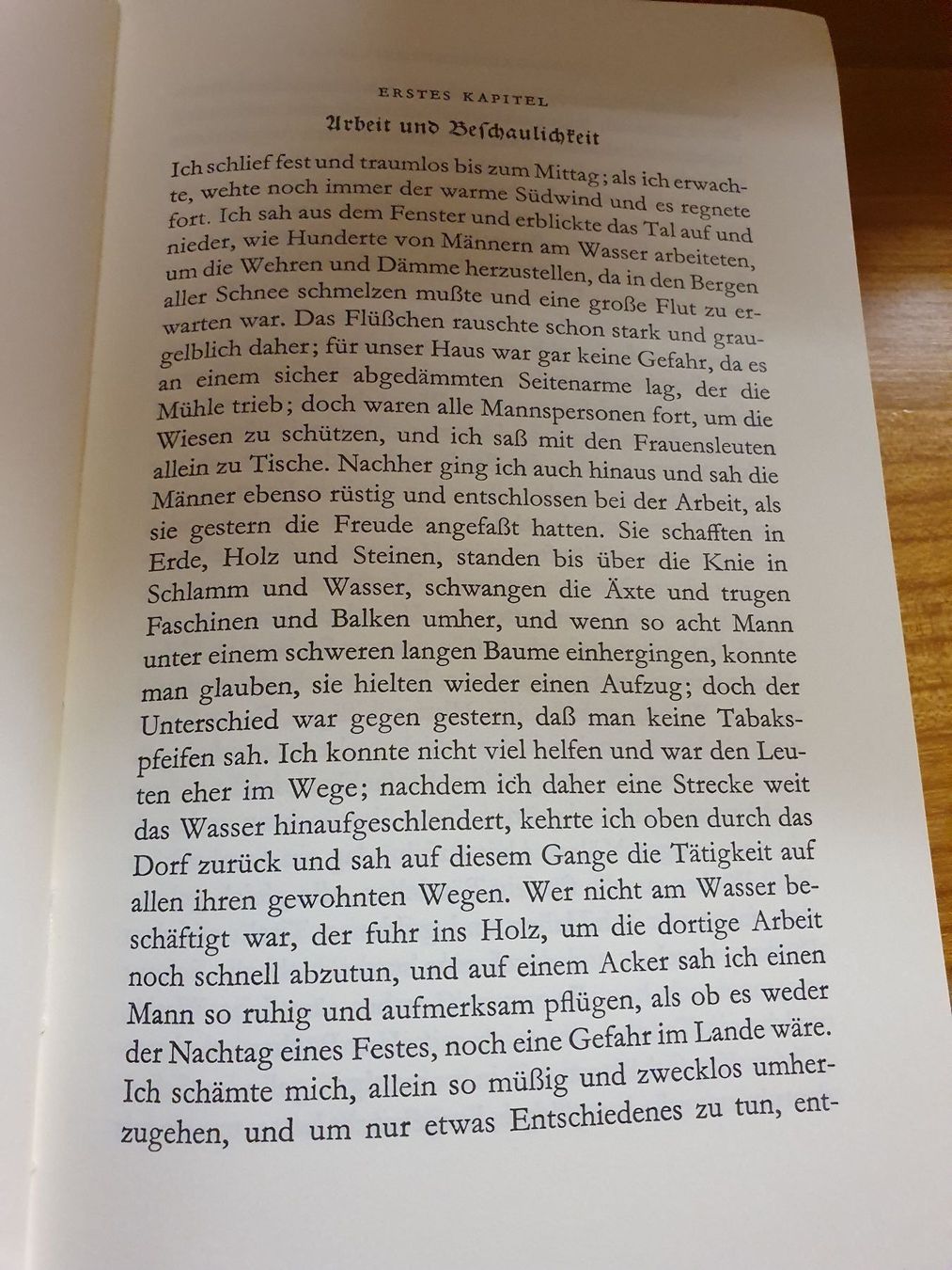 Livres: Der grüne Heinrich- Gottfried Keller – D'occasion à Oberdorf BL par BaldenEagle 1