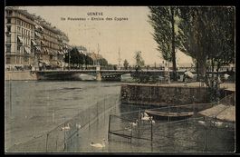 AK Geneve, Ile Rousseau, Enclos des Cygnes