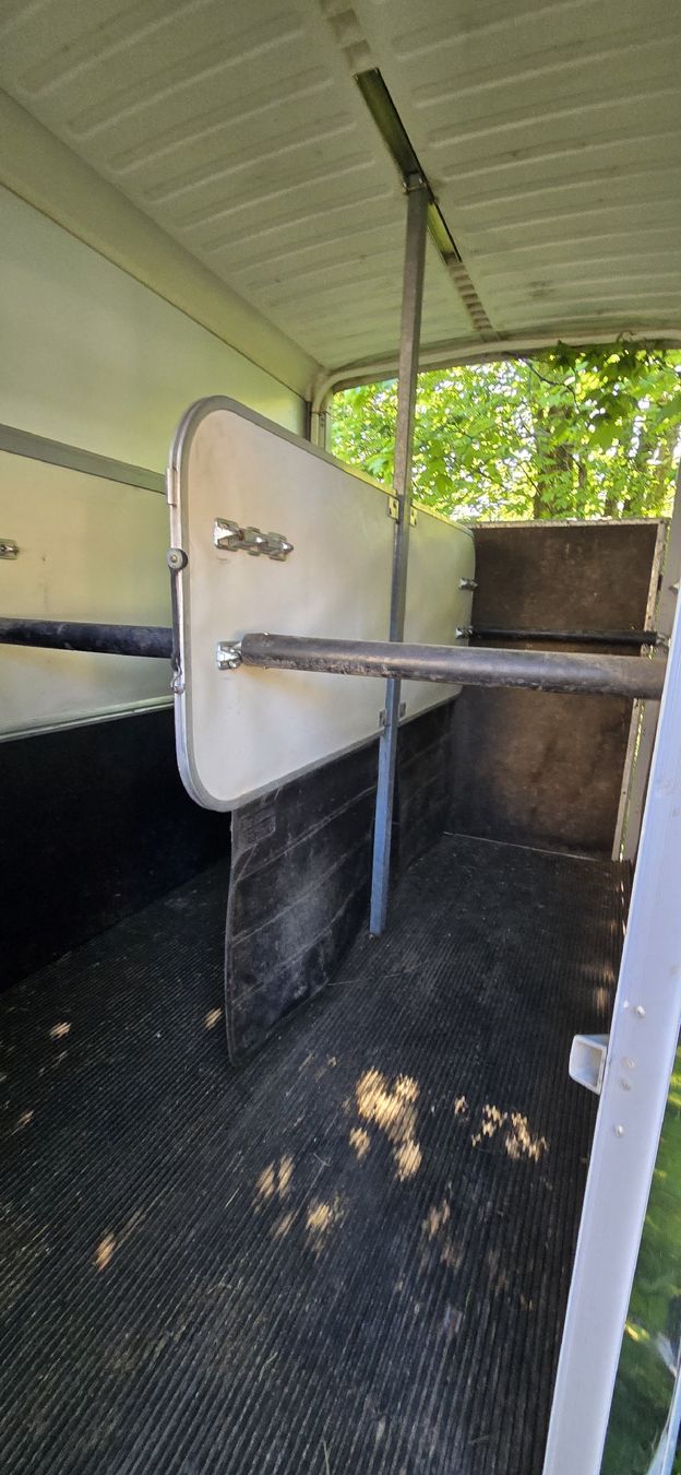 Ifor Rimorchi: Pferdeanhänher – Usato da Wald ZH venduto da rahili 2