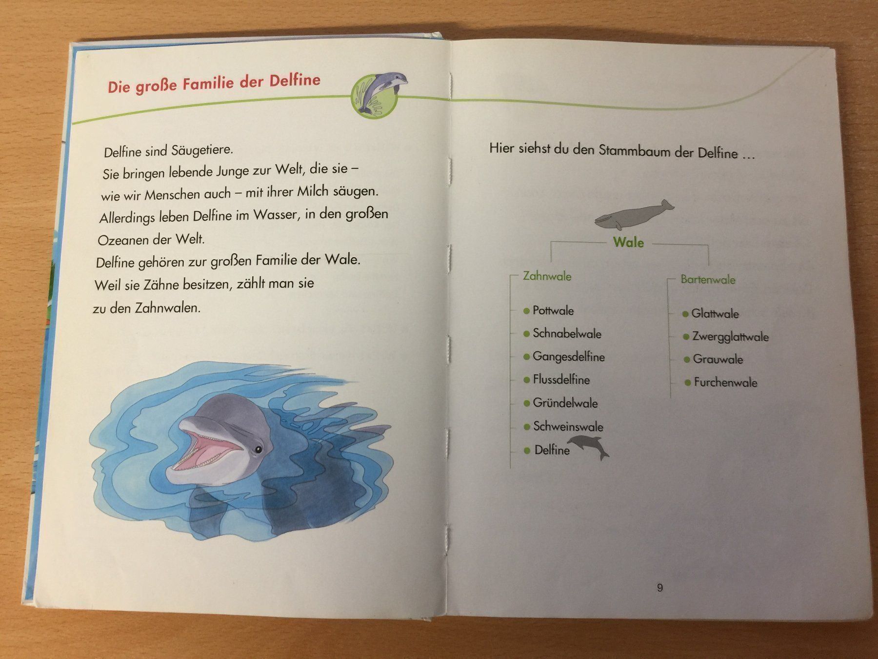 Livres: DELFINE – D'occasion à Glattfelden par cybermaxx 3