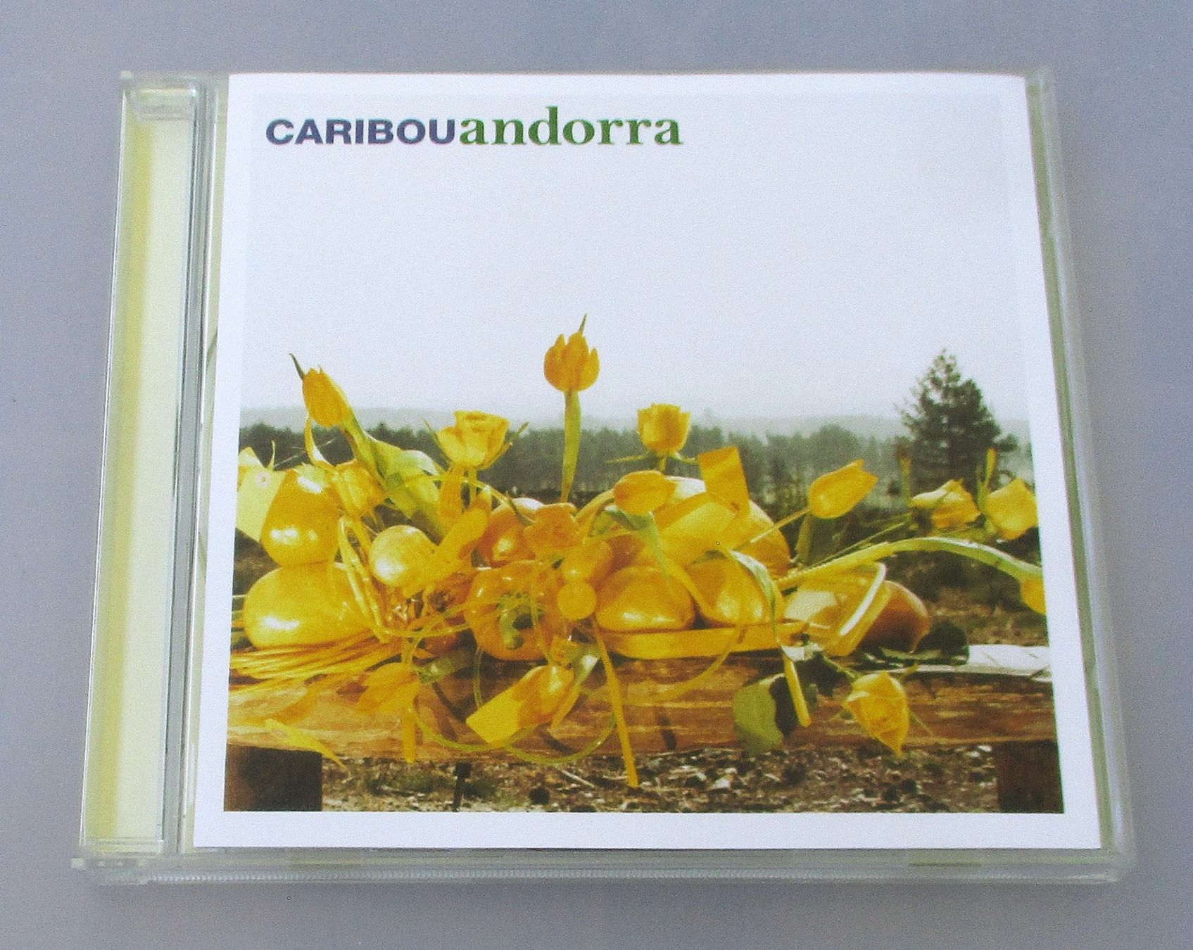 CD: CARIBOU - Andorra – Usato da Wattwil venduto da Muriel11