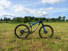 Bike Bulls wild edg Team
