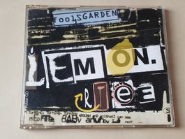 Fools Garden Lemon Tree