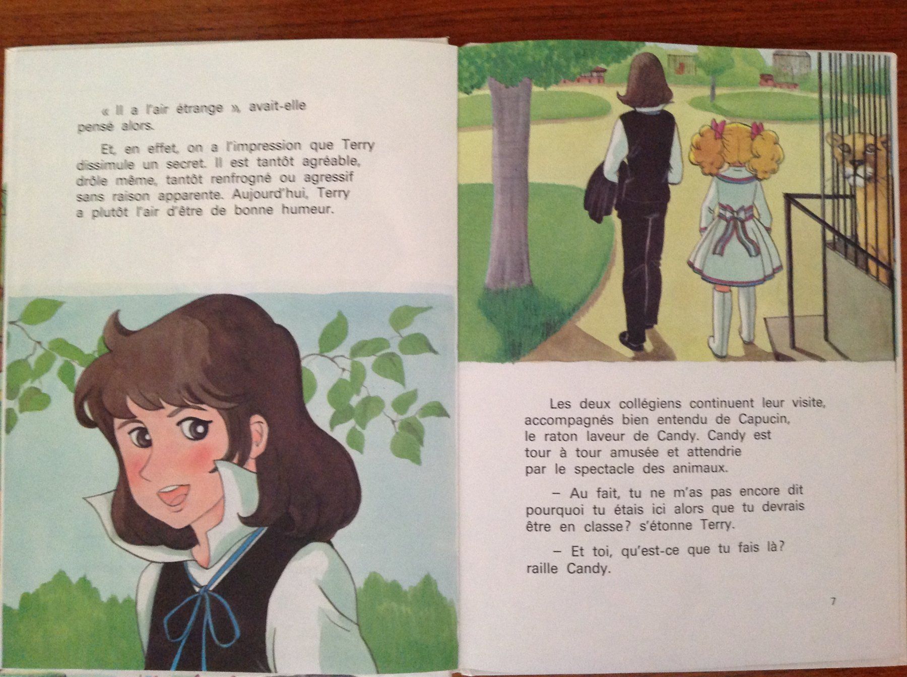 Comics: BD 1980 - Candy et le secret de Terry – Gebraucht aus Vuiteboeuf von broticaire 1
