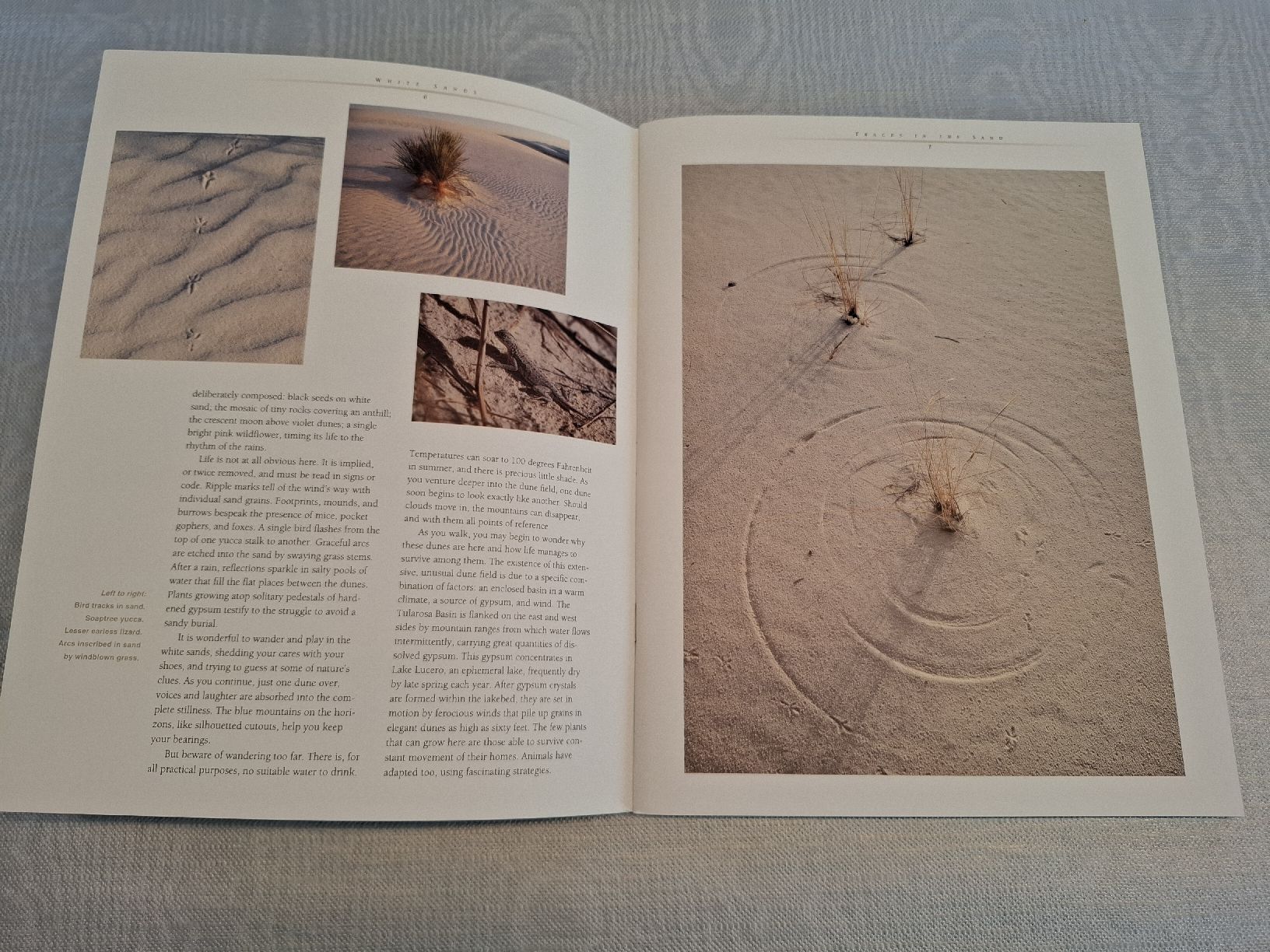 Riviste & Magazine: Katalog White Sands National Monument – Usato da Bäretswil venduto da Galada 2