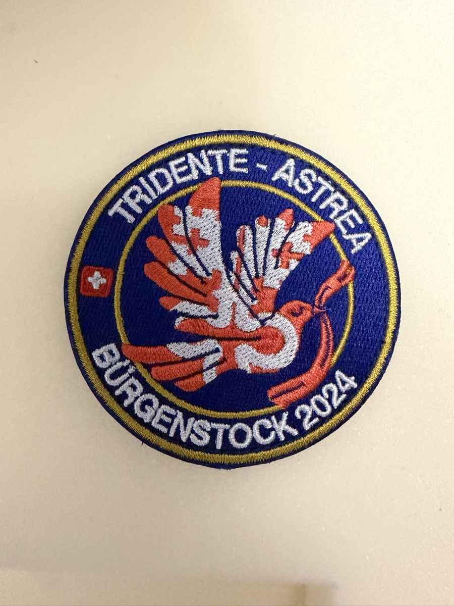 Schweizer Armee Plaketten & Abzeichen: Badge ASTREA24 (mit Klett) – Neu (gemäss Beschreibung) aus Pregassona von Sangiovese100