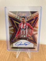 Panini Select La Liga 2025-2026 - Fernando Torres Auto