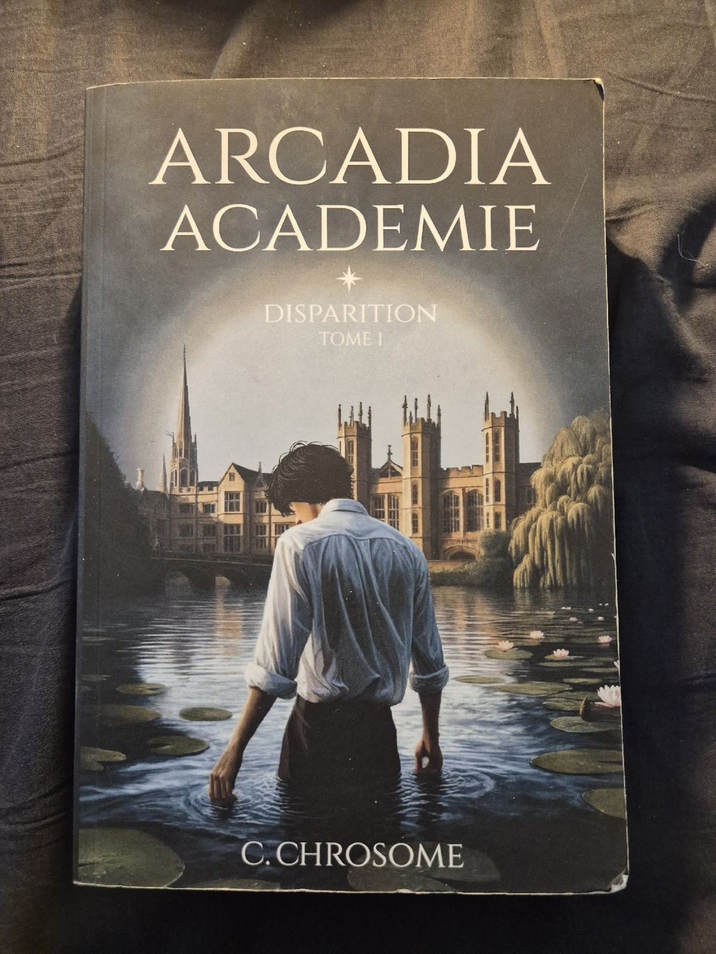 Libri: Arcadia Académie - C. Chrosome – Usato da Fleurier venduto da cin_7qkd 1