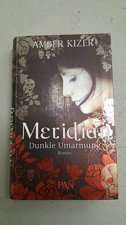 Bücher: Meridian Bd.1 von Amber Kizler – Neu (gemäss Beschreibung) aus Illnau von Buechermaus