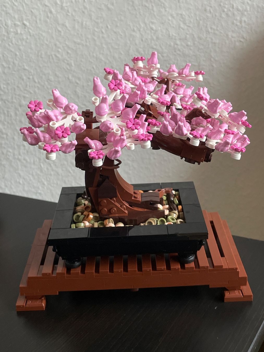 Lego Giocattoli: LEGO 10281 Bonsai Baum – Usato da Basel venduto da mamushka21