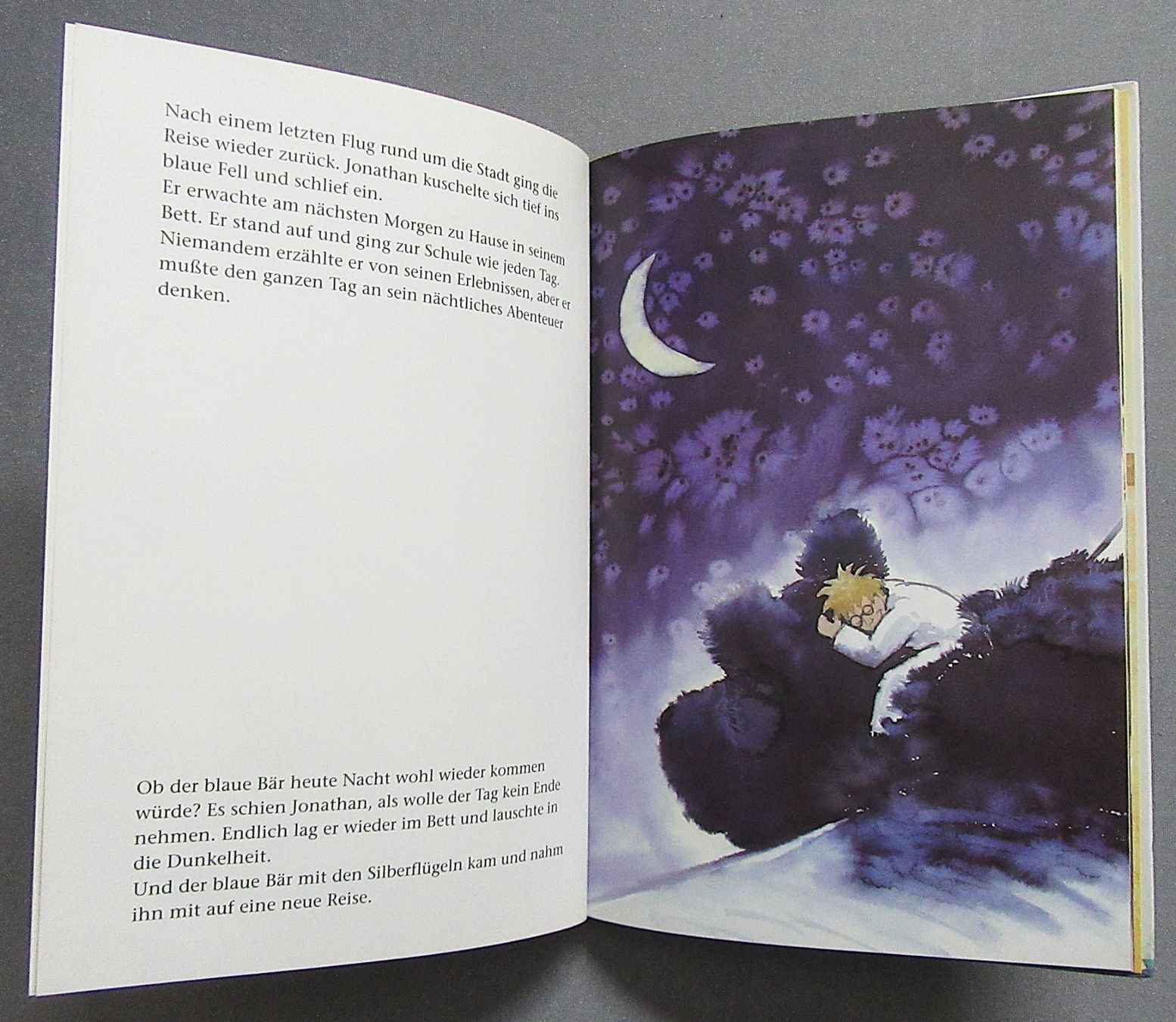Libri: Der blaue Bär - Bilderbuch illustriert von Daniel Küttel – Usato da Auenstein venduto da Padabimbim 4
