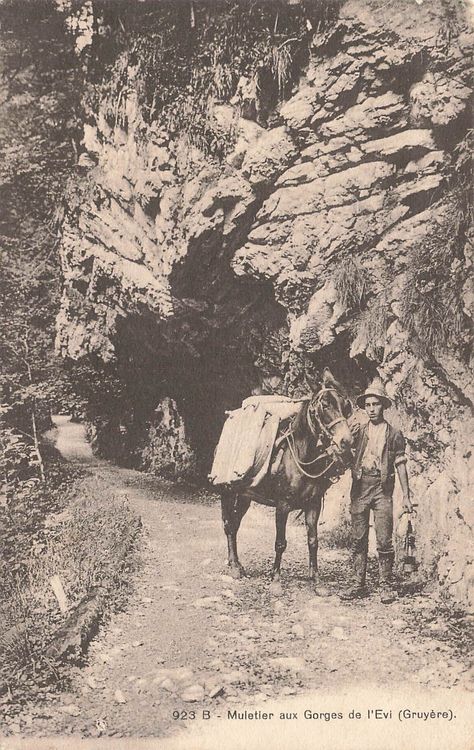 Muletier aux gorges de L`evi Gruyere | Kaufen auf Ricardo