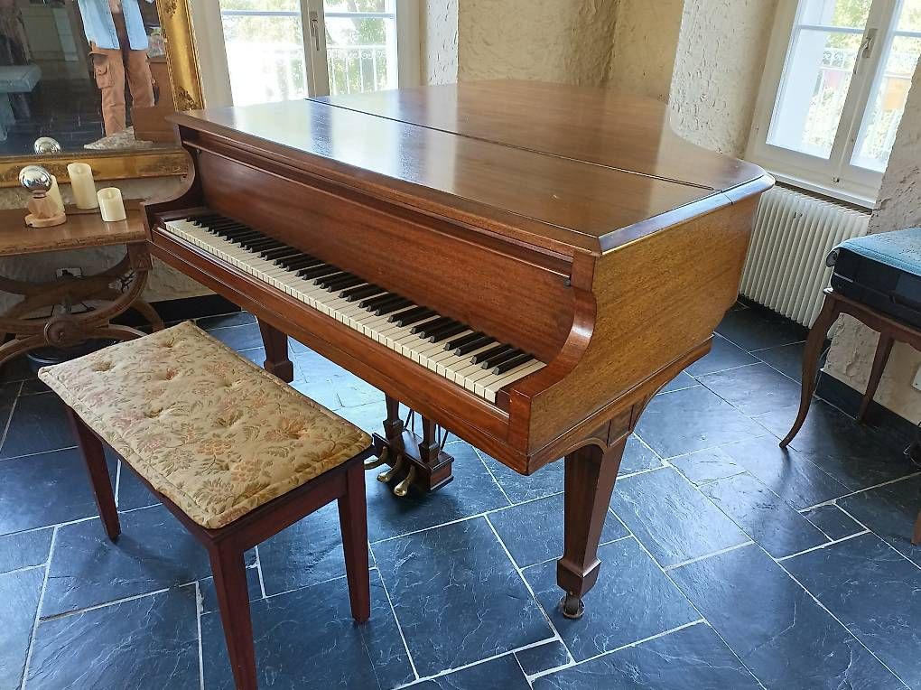 Strumenti musicali: Lester grand piano – Usato da Arvillard (Salins) venduto da spirit-chris