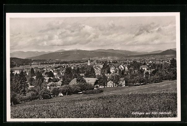 Cartoline postali: Zofingen, Teilansicht mit Säli-Schlöss – Usato da Berlin venduto da bartko-reher