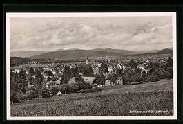 Zofingen, Teilansicht mit Säli-Schlöss