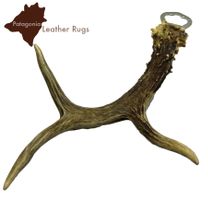 Flaschenöffner mit echtem Rehhorn