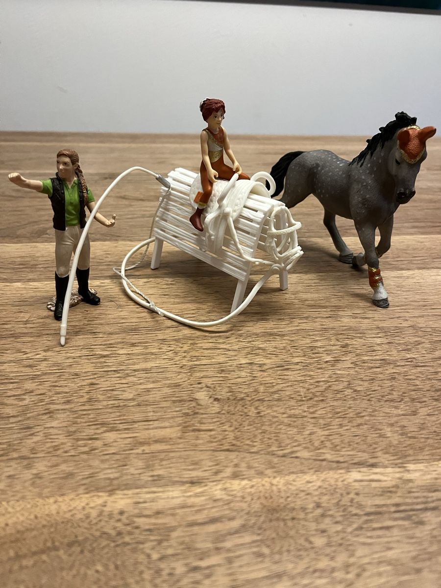 Schleich Giocattoli: Ponyset zu verkaufen – Usato da Weesen venduto da D0101D 6