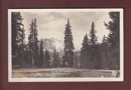 Bei AROSA - 1928